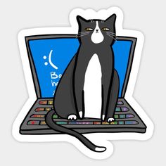 a black and white cat is sitting on top of a laptop computer with the caption bob