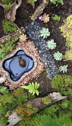 a small pond in the middle of some rocks and plants, with gravel around it