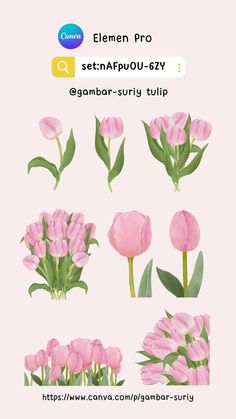 pink flowers with green leaves are shown in this graphic art workbook, which includes the same