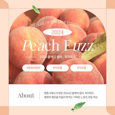 블로그 디자인, Bakery Design, Grid Layouts, Beauty Design, Event Promotion, Book Layout