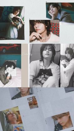 collage of photos with woman and cat on them