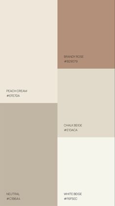 the different shades of paint that are used in this project, including neutrals and browns