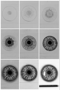 several different types of eyeballs are shown in black and white, each with an individual's iris