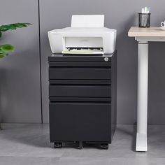 a printer sitting on top of a black filing cabinet next to a table with a potted plant