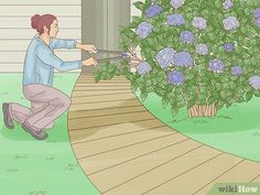 a man is watering flowers in the yard