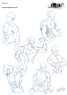 an image of some sketches of different body types