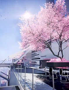 an artistic view of a tree with pink flowers on it's branches next to the water