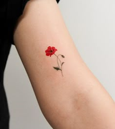 Red Geranium Tattoo, Amapola Tattoo, Red Poppy Tattoo, Fingerprint Tattoos, Realistic Rose Tattoo, Poppy Tattoo, Circle Tattoos, Anklet Tattoos, Poppies Tattoo