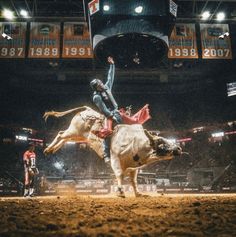 a man riding on the back of a white bull in a rodeo arena at night