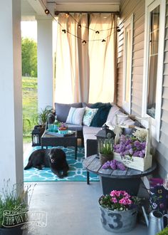 a black dog laying on top of a blue and white rug next to potted plants