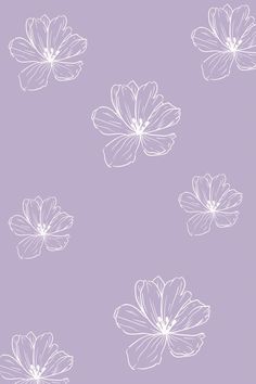 white flowers on a purple background