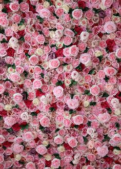 many pink and white flowers are arranged in the shape of a flower arrangement on a wall