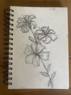 a pencil drawing of flowers on a white paper