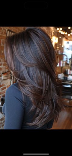 Off Black Hair With Highlights, Long Styled Haircut, Long Layer Dark Brown Hair, Curled Layered Hair Long, Long Dark Hair Green Eyes, Dark Hair With Mocha Highlights, Bra Line Hair Length, Chocolate Brown Hair With Long Layers, Layers With Blowout