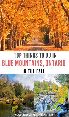 the top things to do in blue mountains, ontario in the fall