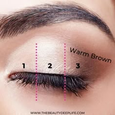 Natural Eyeshadow Looks, Eye Makeup Guide, Natural Eye Makeup Tutorial, Eye Makeup Application, Beginners Makeup, Apply Eyeshadow, Makeup Tip, Simple Eyeshadow