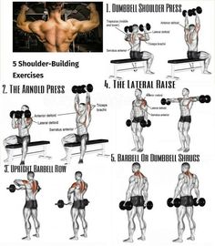 an image of a man doing exercises with dumbbells and barbell curls for back