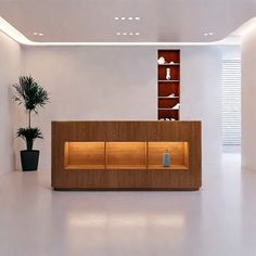 an office lobby with white walls and wooden furniture on the floor, along with a plant