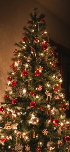 a decorated christmas tree with red and gold ornaments