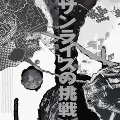 an image of some type of artwork with japanese characters on it's back cover