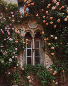 an old building with roses growing on it