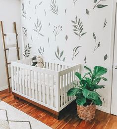 a white crib with a potted plant next to it on the floor in front of a painted wall