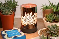 a table topped with potted plants next to a lit candle and a box filled with candles