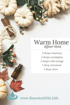 Diy Diffuser Blends, Home Diffuser, Plant Vegetables, Fall Diffuser Blends, Clove Essential Oil