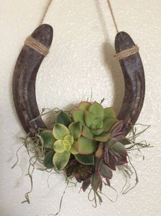 a horseshoe hanging on the wall with succulents and plants in it's center