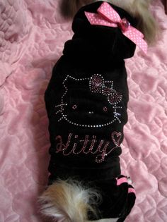 a small dog wearing a black shirt with pink bows