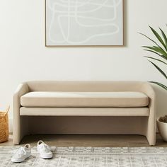 a living room scene with a couch and potted plant on the floor next to it