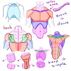 an image of different types of bras