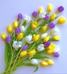 a bunch of yellow and white tulips laying on top of each other with green stems