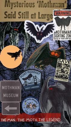 an image of various stickers on the back of a poster with words and pictures