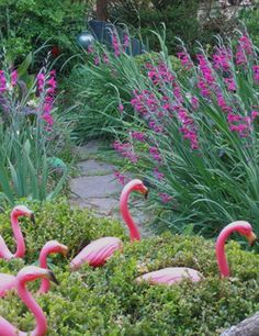 some pink flamingos are standing in the grass near purple flowers and green bushes,