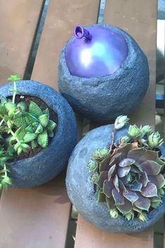 three cement pots with plants in them sitting on a wooden table next to each other