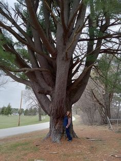 a person standing next to a large tree