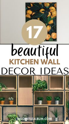 kitchen wall decor with plants and potted plants on the shelves in front of it