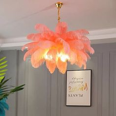 a pink chandelier hanging from the ceiling in a living room with grey walls