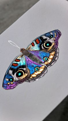 a close up of a butterfly on a piece of paper