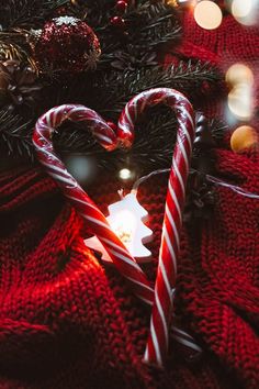 two candy canes in the shape of a heart on top of a christmas tree