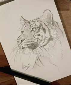 a pencil drawing of a tiger sitting on top of a wooden table next to a pen