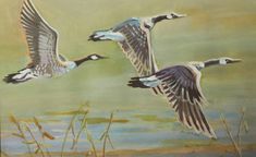 two ducks flying over the water with grass in the foreground and another bird on the far side