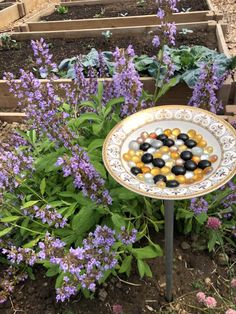 a plate with beads sitting on top of it next to some purple flowers and plants