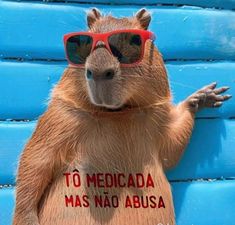 a capybara wearing red sunglasses stands on its hind legs with his arms outstretched