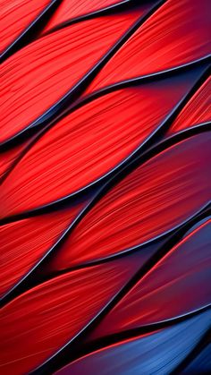 red and blue feathers are shown in this close up photo