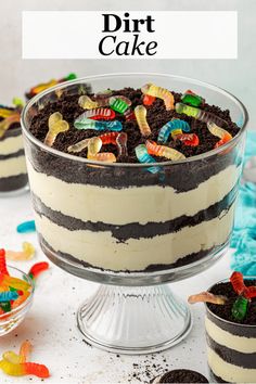 an image of a dessert with dirt cake in the middle and candy candies on top