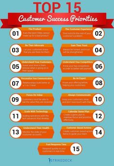 the top 15 customer success priorityes for 2013 infographical design by frecker