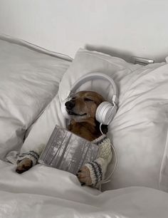 a dog is laying in bed with headphones on and reading a book while listening to music