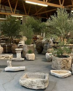 there are many vases and trees in the room that is made out of stone